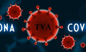 L’impact économique de la pandémie Covid-19 et ses conséquences pour la TVA